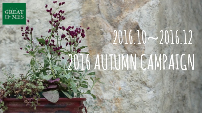 autumncampaign2016