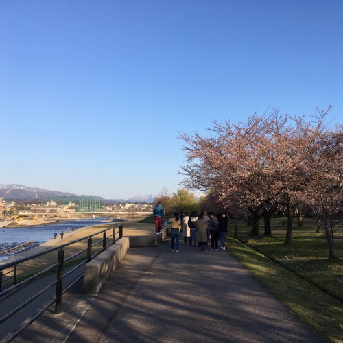 みんなで犀川散策