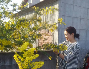 南出 綾子