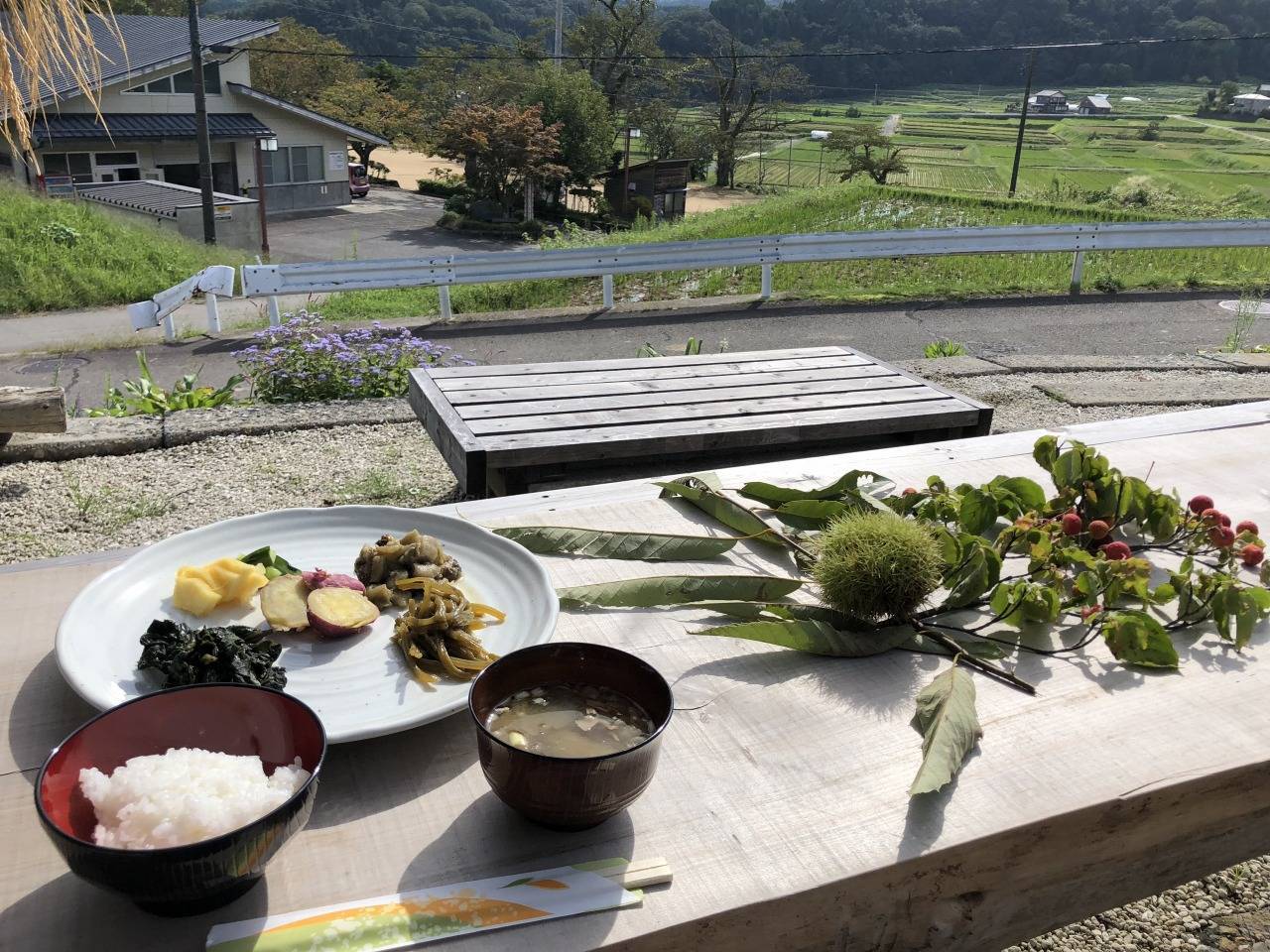 人は食べ物でできている