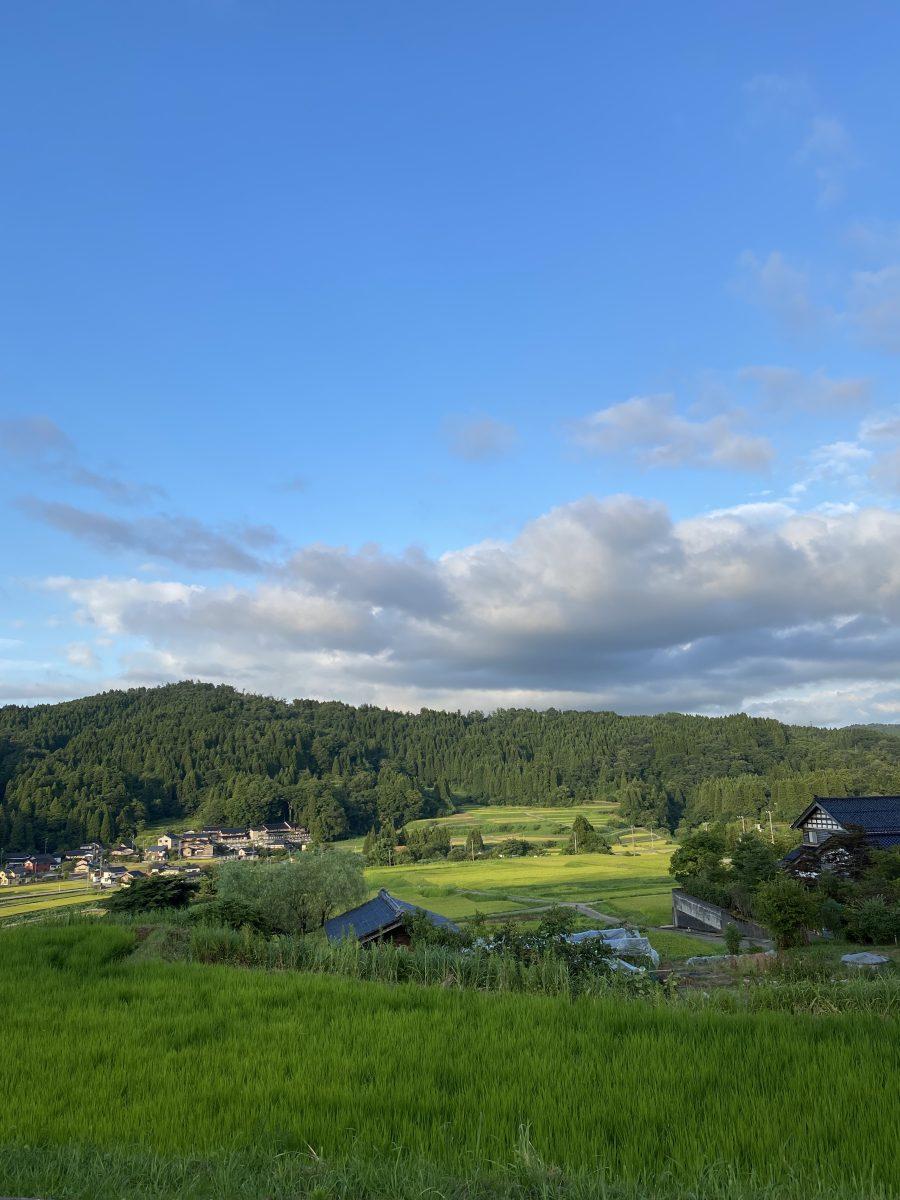 何もしない、考えない夏休み