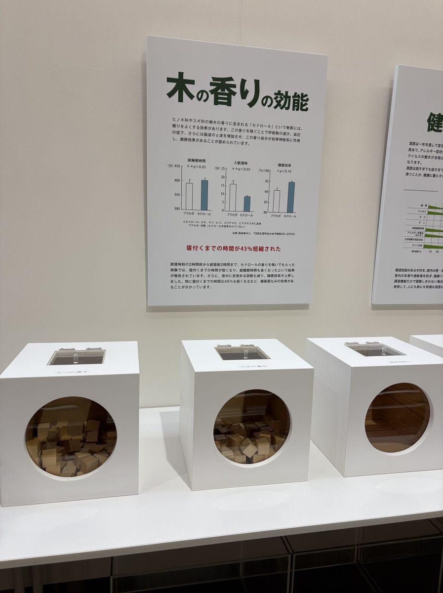暮らしに活きる木のヒミツ