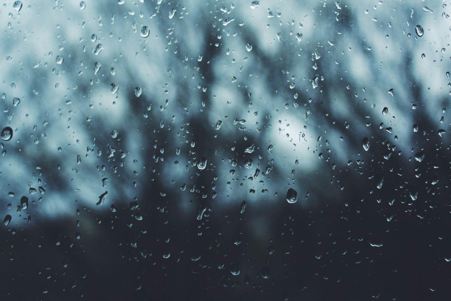 雨の中の畑仕事