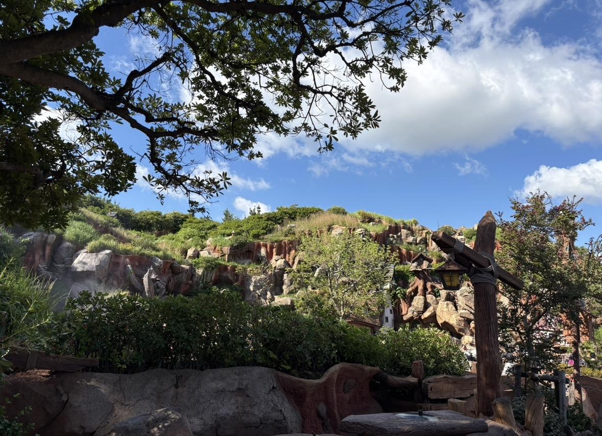 小動物たちの暮らす場所