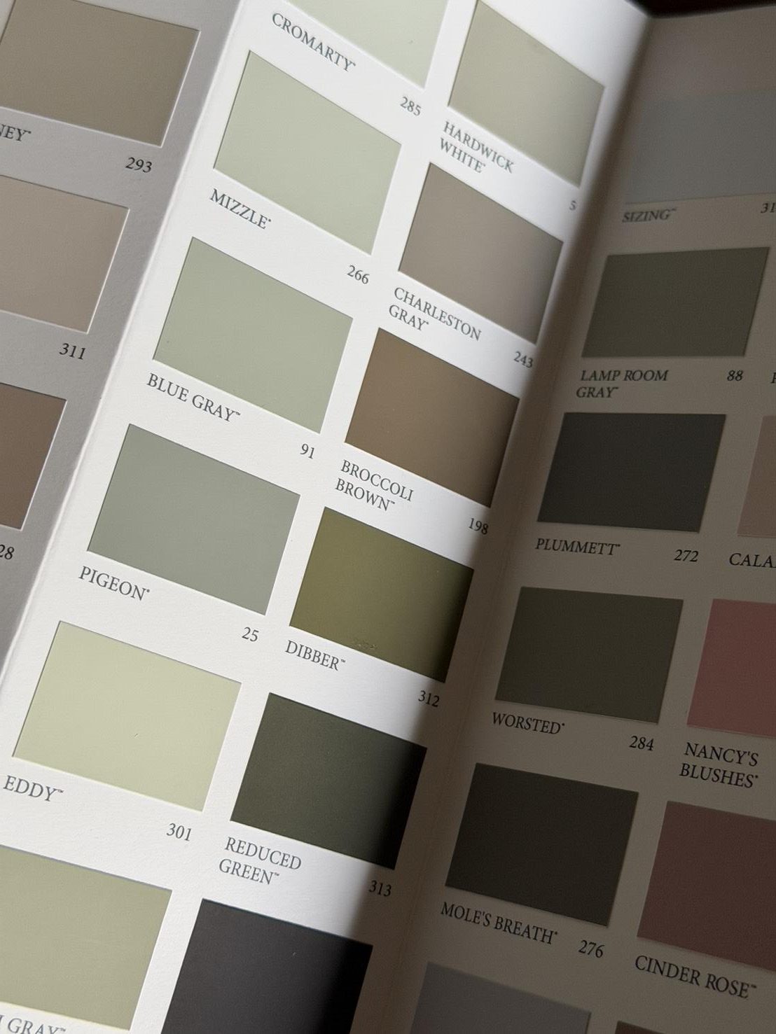 お気に入りはブロッコリーブラウンです