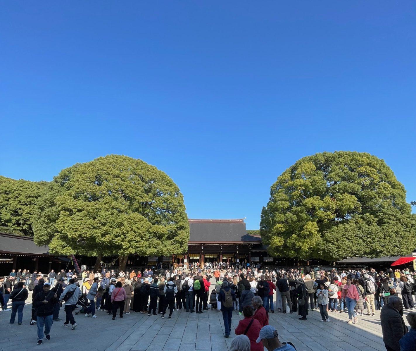 都会なのに”別世界”。