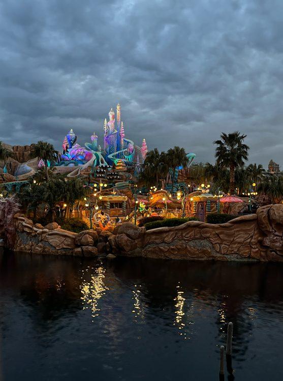 海の世界と陸の世界が出会う場所vol.1