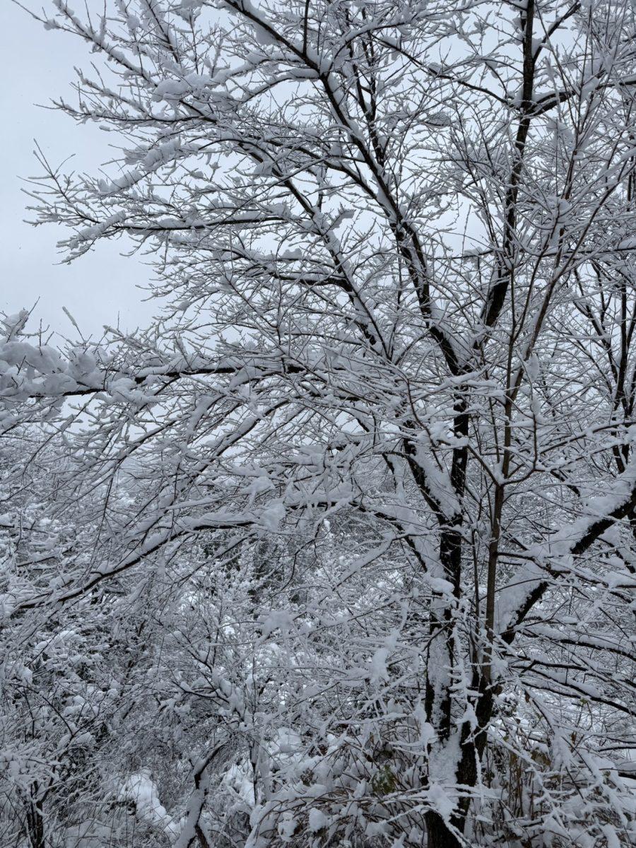 年の初めに感じること